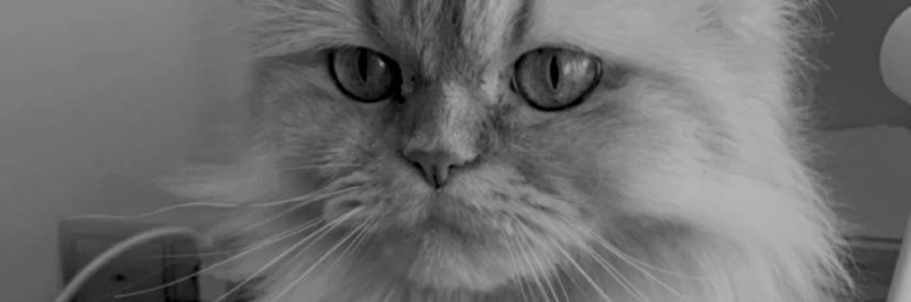 💛 banner