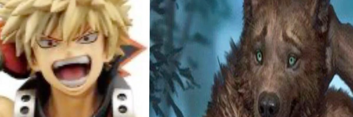 padfqqt's profile banner image