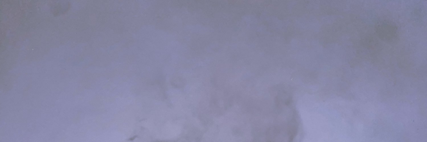 lettealee's profile banner image