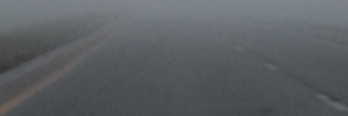 🩸Lovesickteeth🩸's banner