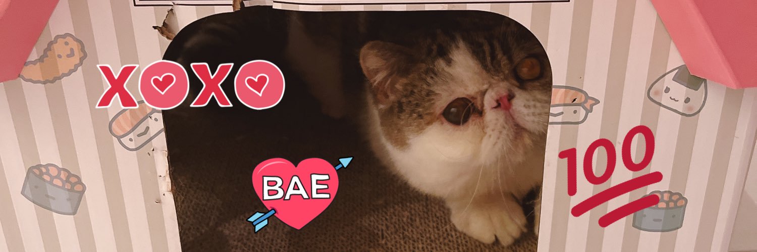 Oyvie's profile banner image