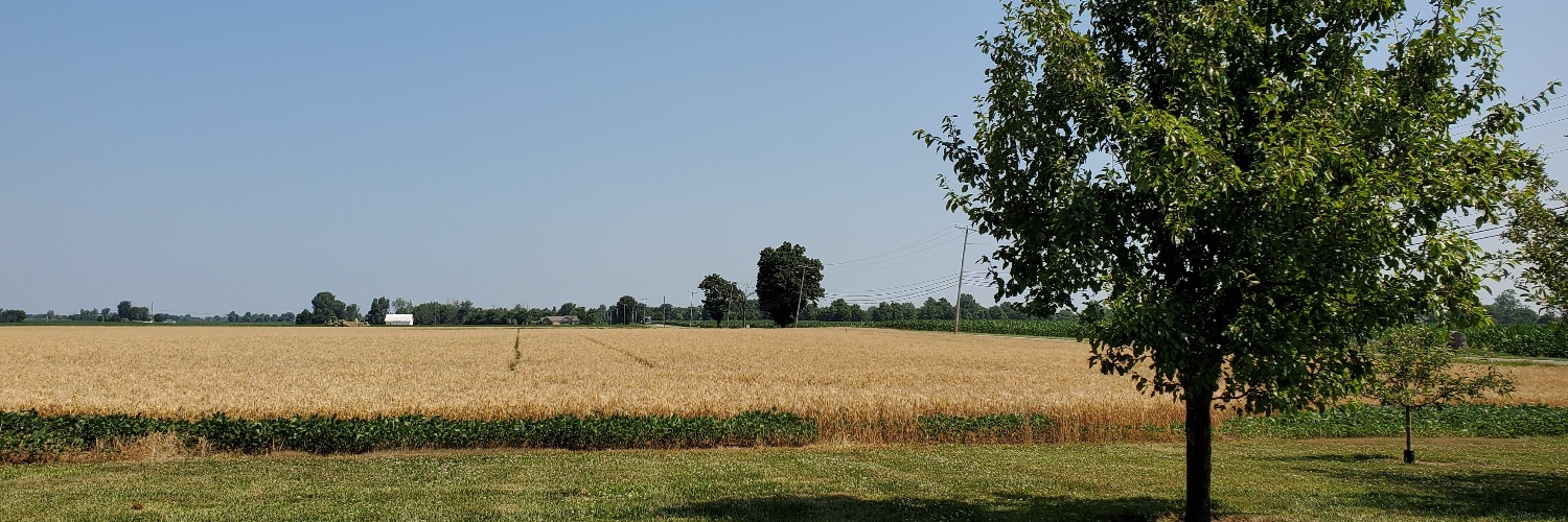 Dr. Chea Parton’s Literacy In Place banner
