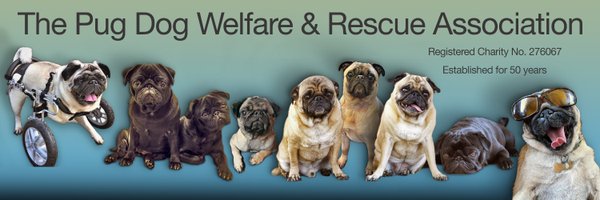 Pug Dog Welfare And Rescue Association Profile Banner