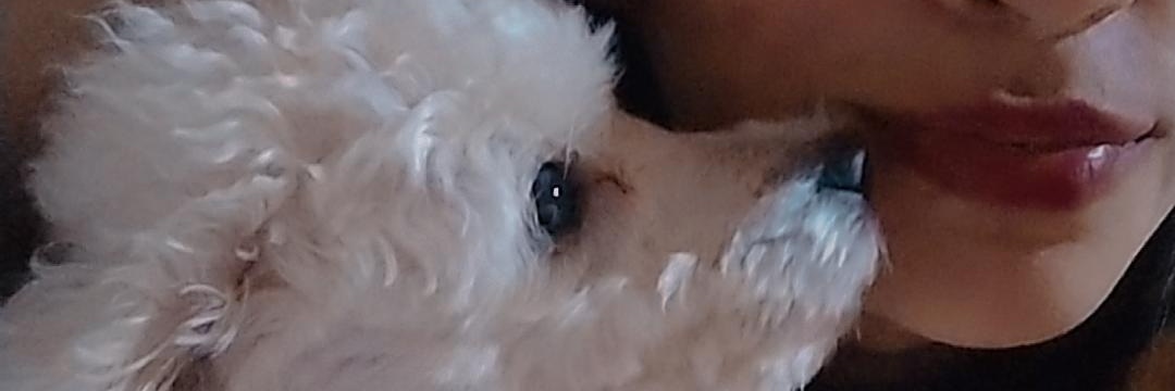 FeerGutii's profile banner image