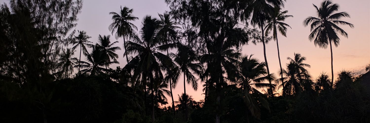 MagTaloc's profile banner image