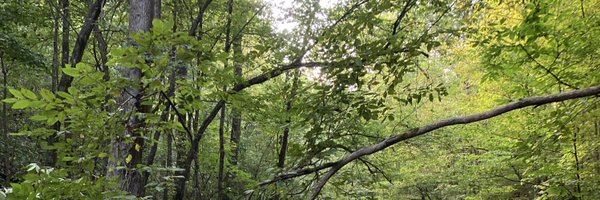 ttt_hickman Profile Banner