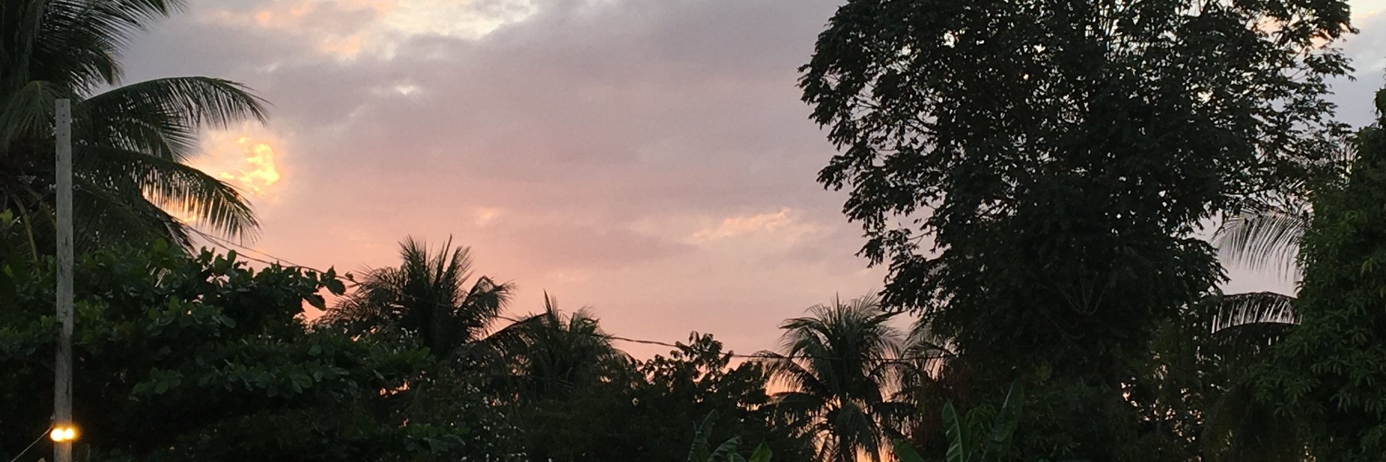 samiipinard's profile banner image