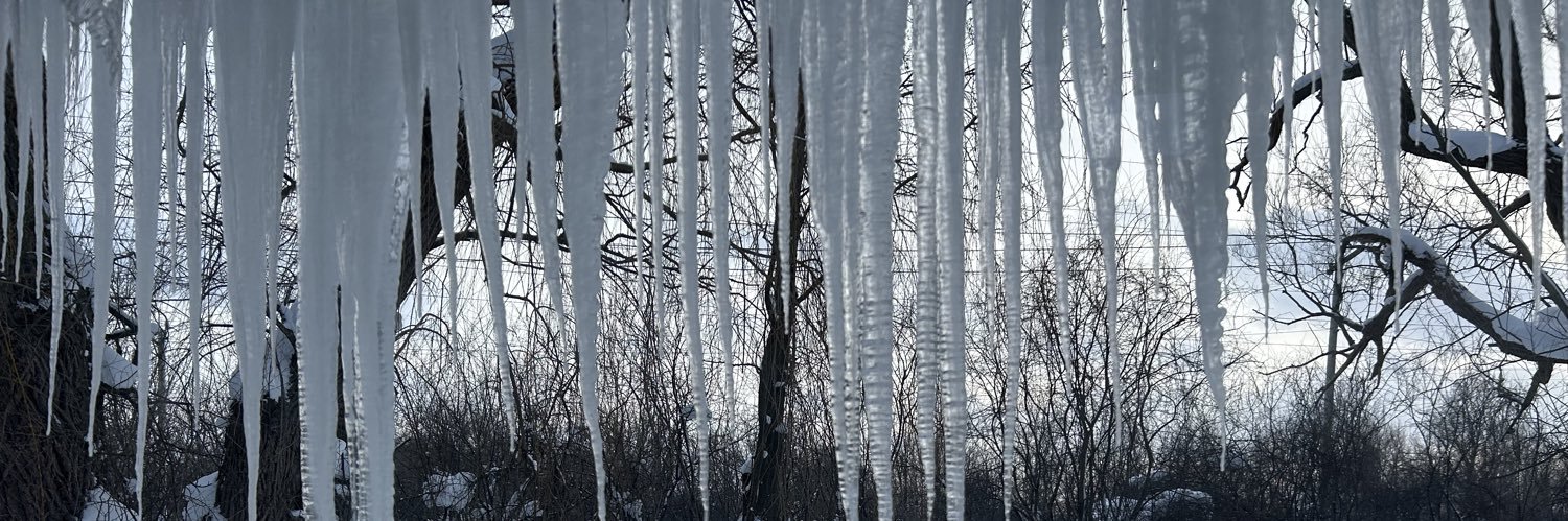 Cam (Go Bills) banner