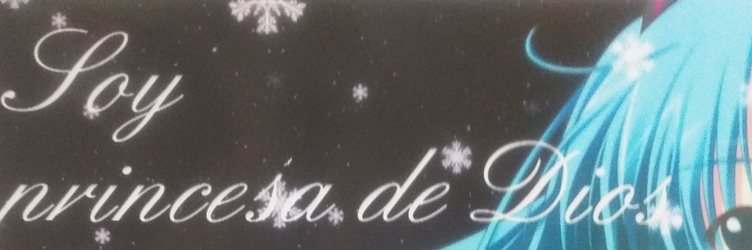 Suny Luna's banner