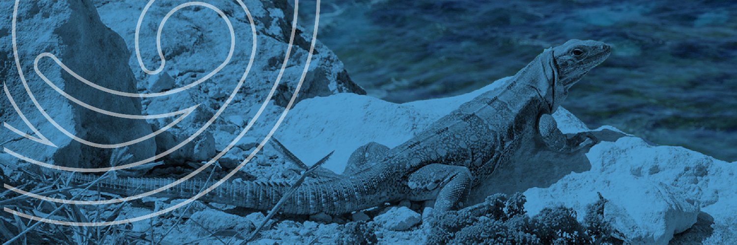 Galapagos Capital banner