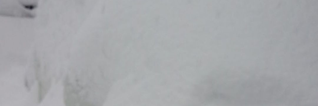 indononan's profile banner image