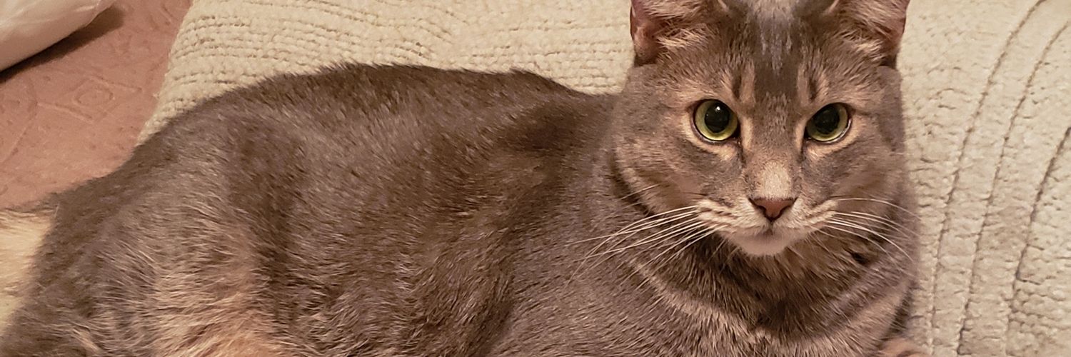 PaganLady🇺🇲🌵🗳️🕯️😸☮️🐺🌵 banner