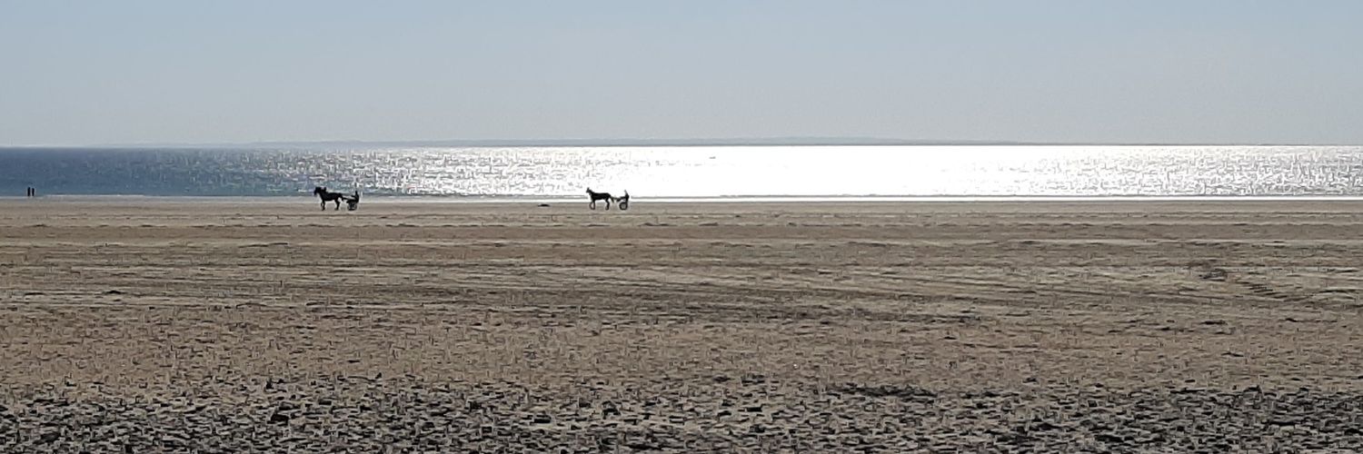 julien malherbe un jour... banner