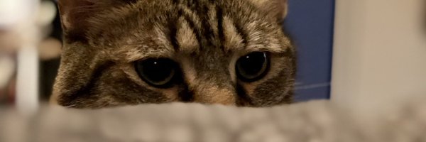 dunktankdoug Profile Banner