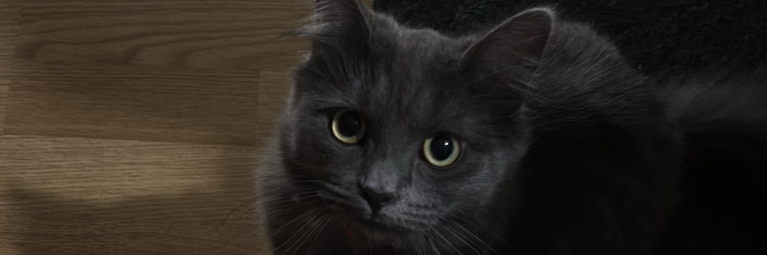 Notepreocupa's profile banner image