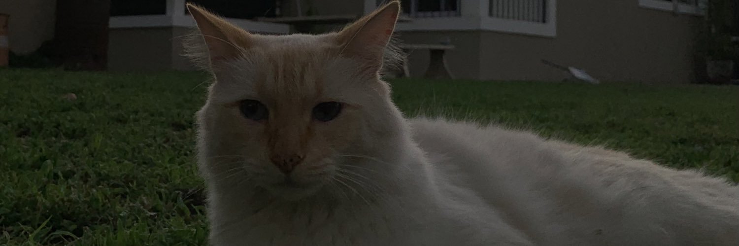 Lizz banner