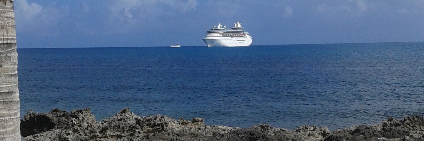 Penny😽❤️ banner