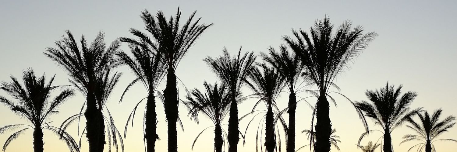 Lucialoooopez's profile banner image