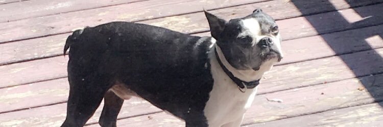 austinaaa555's profile banner image