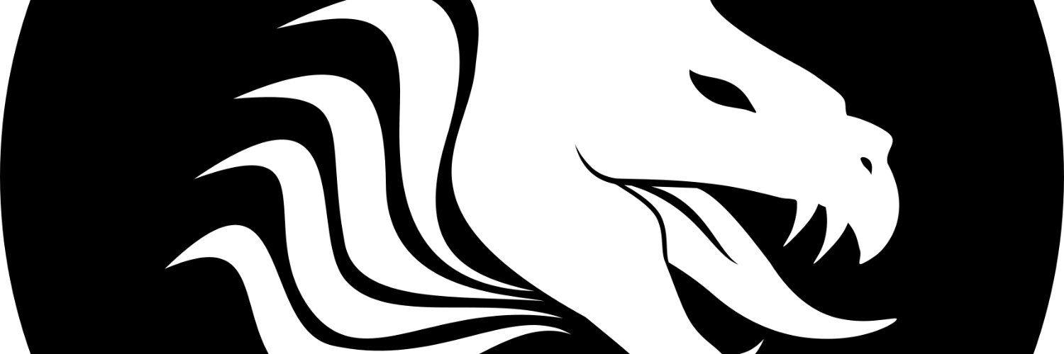 WhiteDragon3D banner