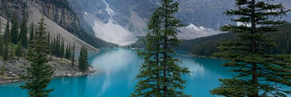 CDatres24 Profile Banner