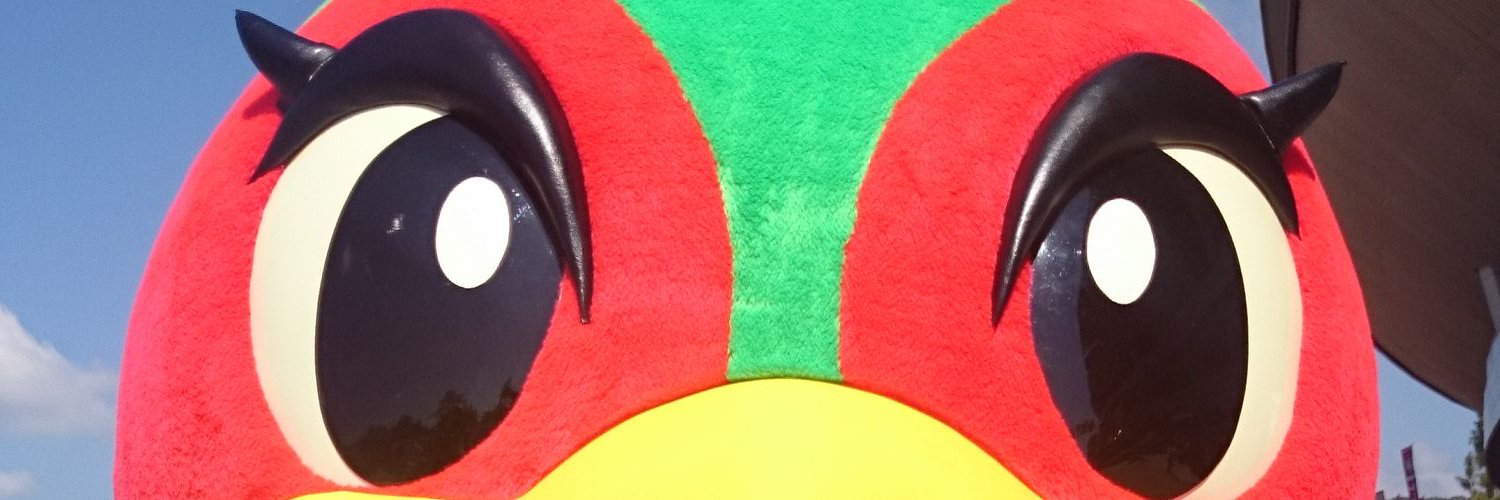 tomo81o's profile banner image