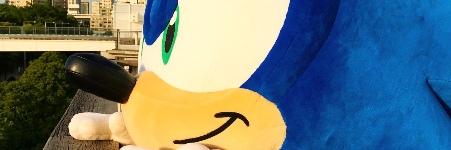 sonic_315's profile banner image