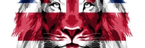 Bluebird_7777's profile banner image
