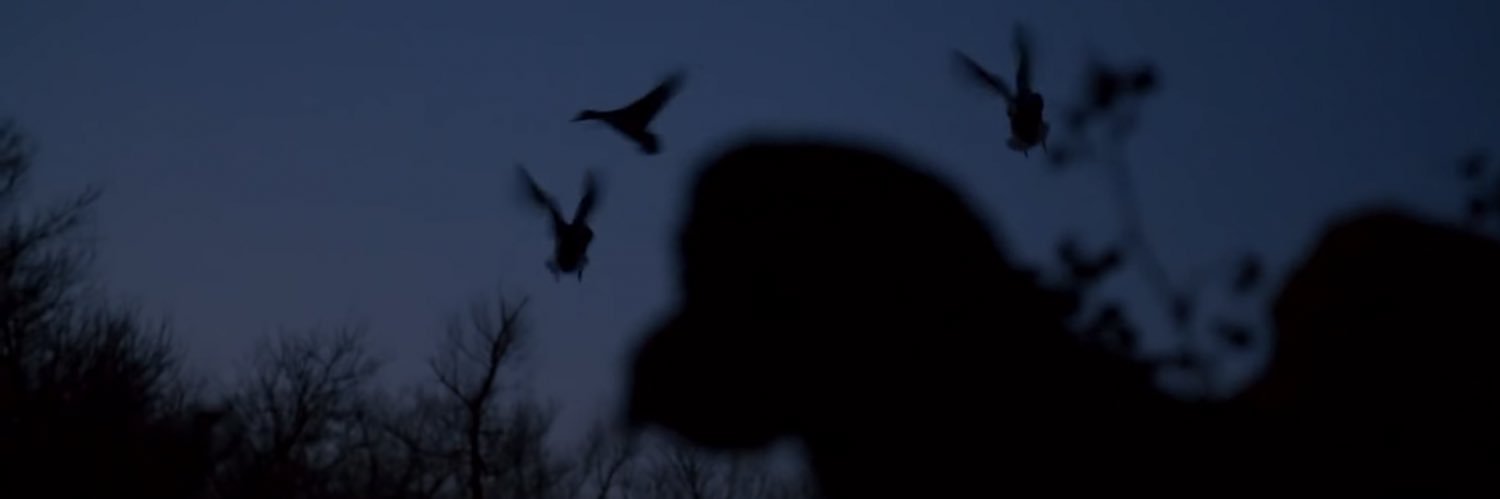DrakeBishel's profile banner image