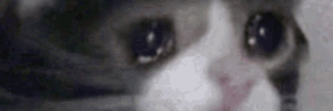 Surnedy1's profile banner image