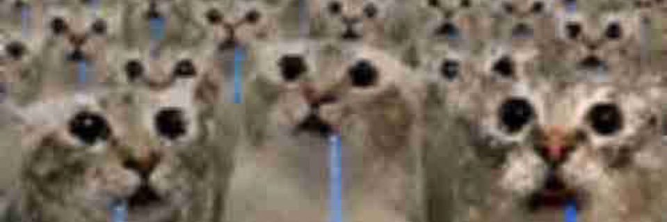 nutsmaster4's profile banner image