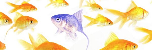 PsoriasisInfo Profile Banner