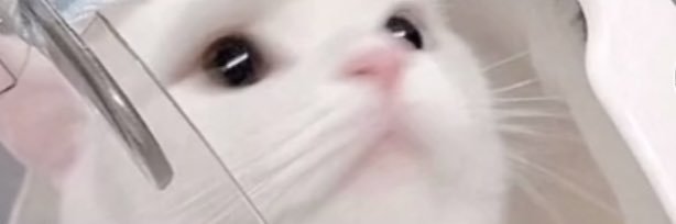 rewpoi3's profile banner image