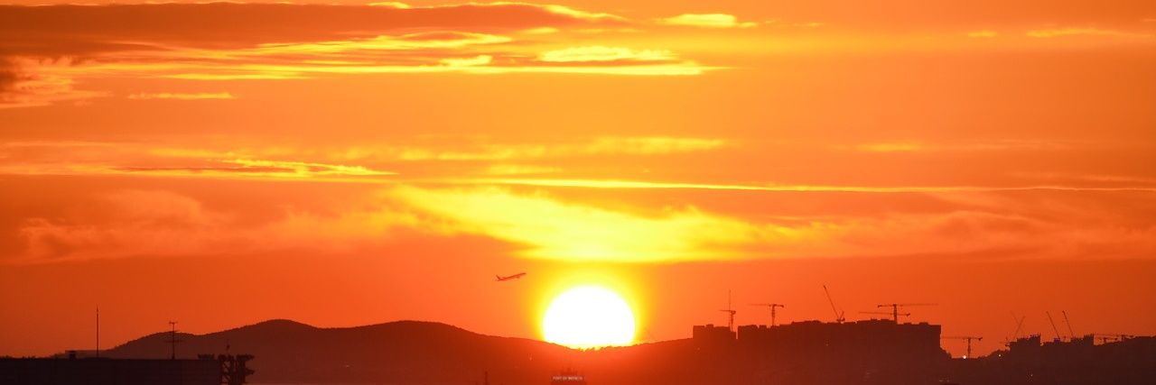 dsmutea🦅🟠 banner