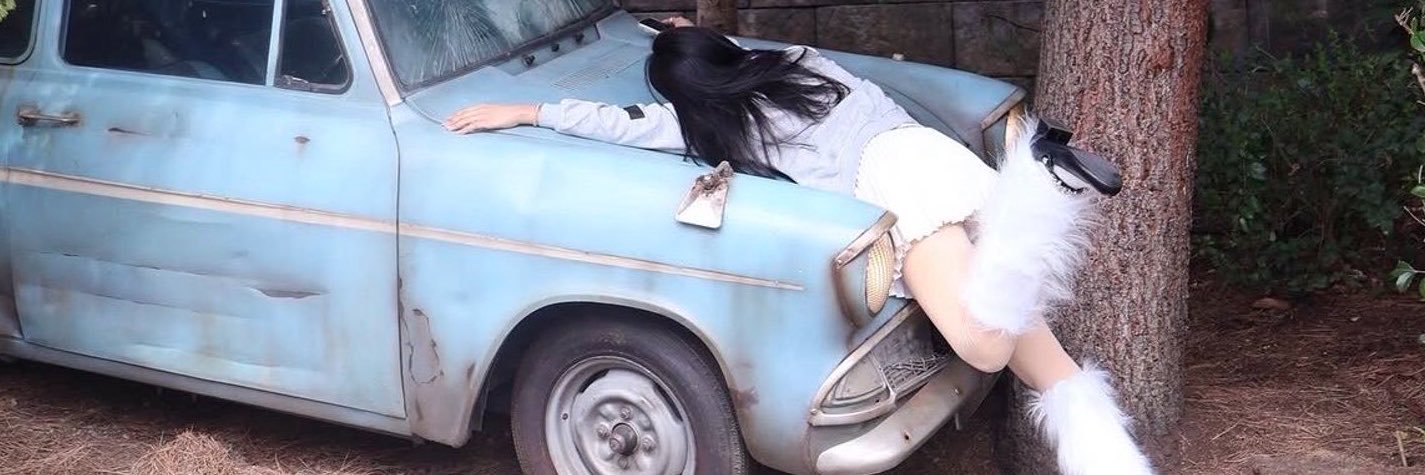 madtoratora_'s profile banner image