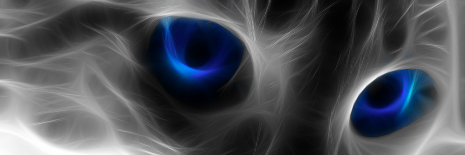 Brian_Ethier's profile banner image