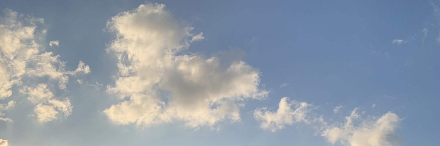 Nutta banner
