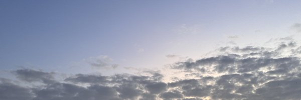honeyedlemonade Profile Banner