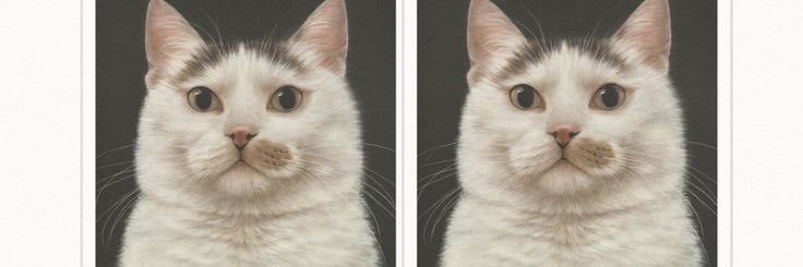 stobeeyik's profile banner image