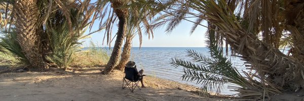 waelAlkaled Profile Banner