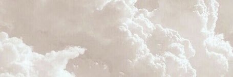 Robynjaane's profile banner image