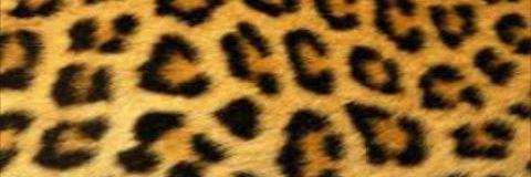 BamqiFirance's profile banner image