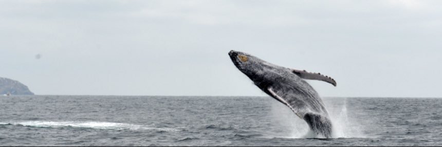 je_zip's profile banner image
