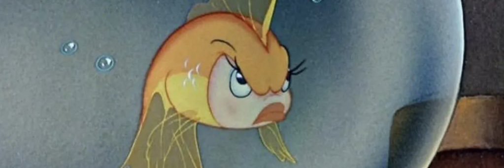 Delfireggioo's profile banner image