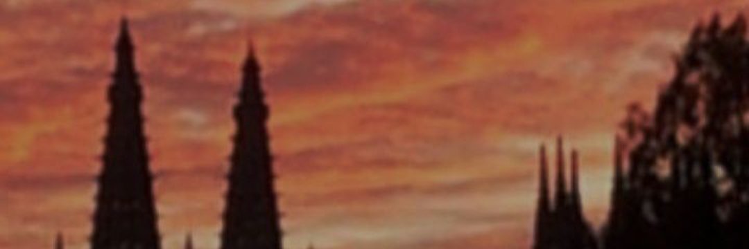 naroa ✨ banner