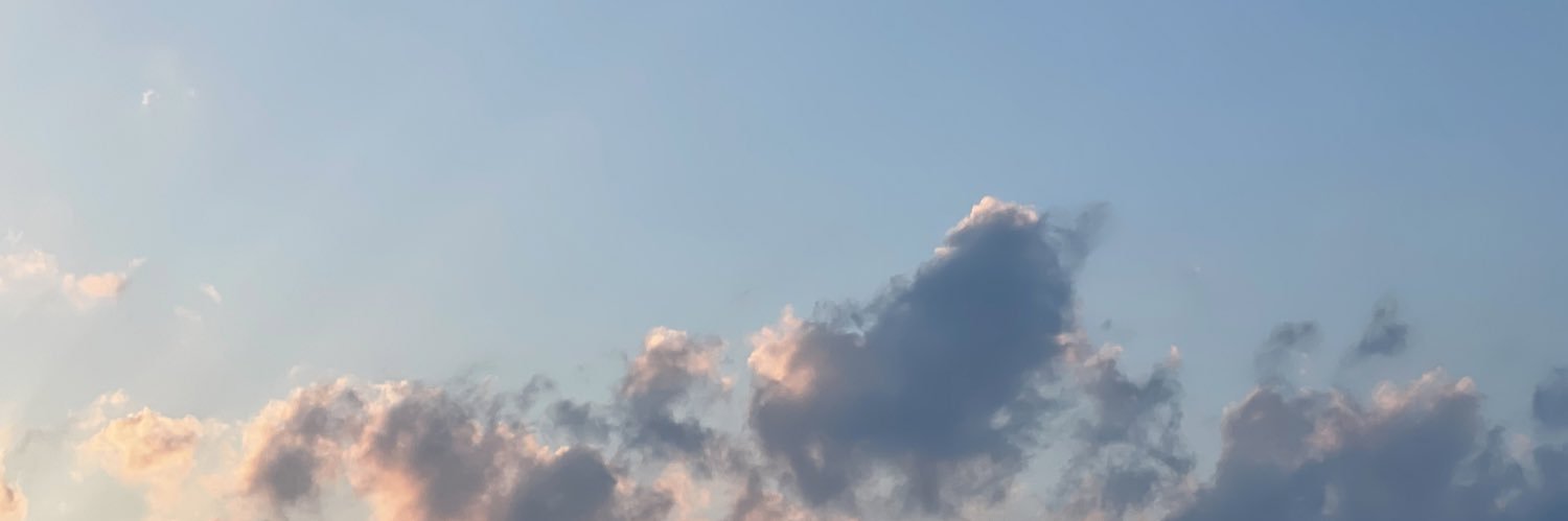 19940428sz's profile banner image
