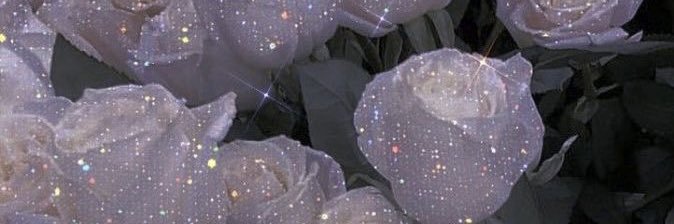 sumnativee's profile banner image