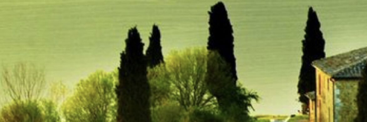 LunaIssy's profile banner image