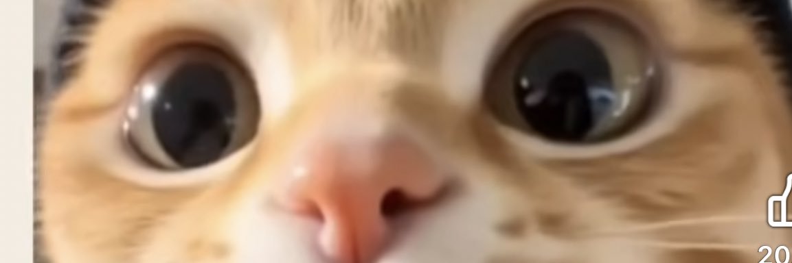 AirrinMoo's profile banner image