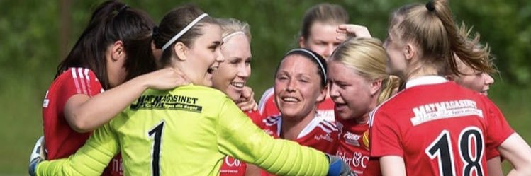 Vårgårda IK Fotboll Dam banner